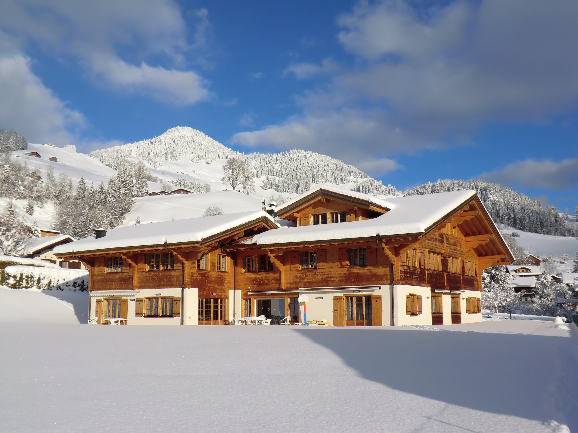 Ad Sale Chalet Châteaud'Oex (1660), 18 Rooms John Taylor