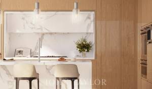New construction Apartment Downtown Dubai