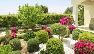 New construction Housing estate Paphos