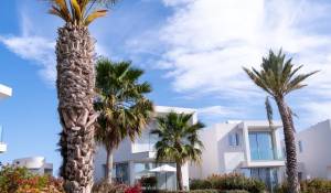 New construction Villa Peyia