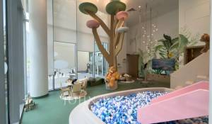 Rental Apartment Dubai Hills Estate