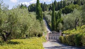 Rental Apartment Firenze