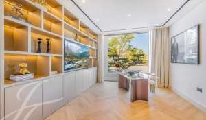 Rental Apartment Jumeirah Islands