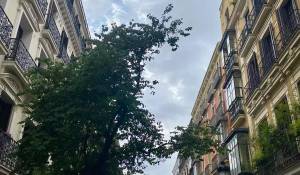 Rental Apartment Madrid