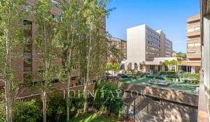 Rental Apartment Madrid