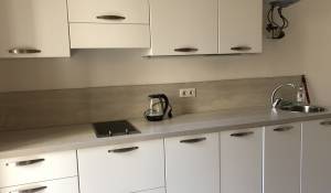 Rental Apartment Monaco