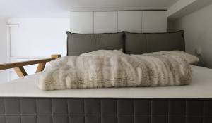 Rental Apartment Monaco