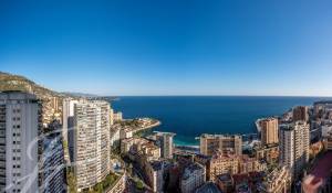 Rental Apartment Monaco