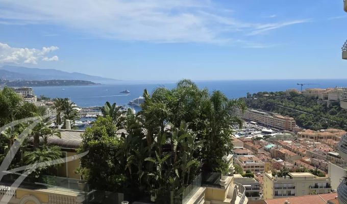 Rental Apartment Monaco