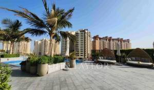 Rental Apartment Palm Jumeirah