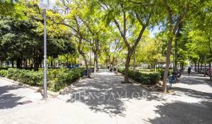 Rental Apartment Palma de Mallorca