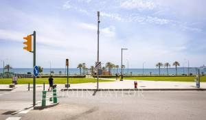 Rental Apartment Palma de Mallorca