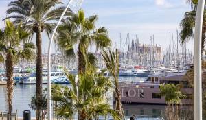Rental Apartment Palma de Mallorca
