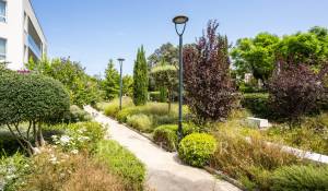 Rental Apartment Palma de Mallorca