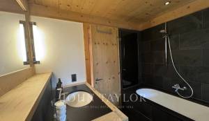 Rental Apartment Saanen