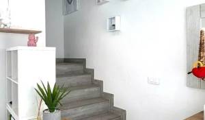 Rental Apartment Saint-Barthélemy