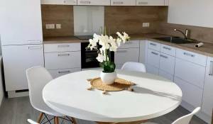 Rental Apartment Saint-Barthélemy