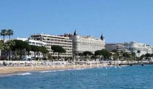 Rental Business Cannes
