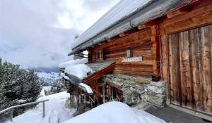 Rental Chalet Verbier