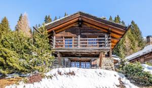 Rental Chalet Verbier