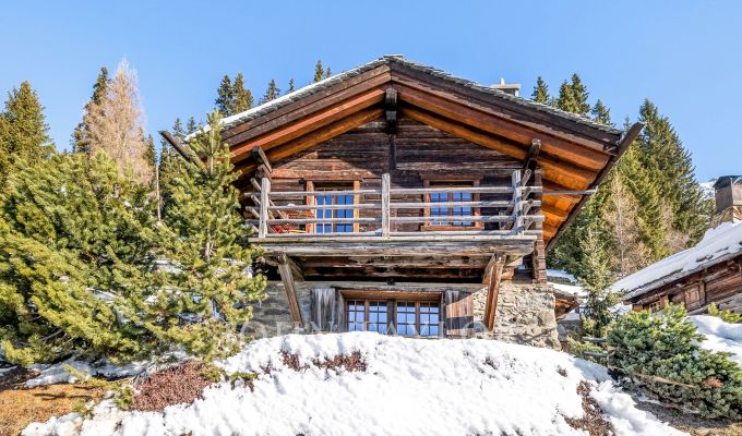 Rental Chalet Verbier
