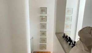 Rental House Limassol