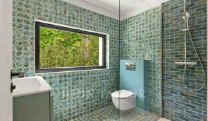 Rental House Mougins