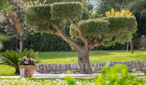 Rental House Valbonne