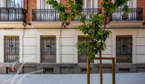 Rental Local Madrid