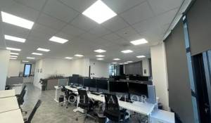 Rental Office Limassol