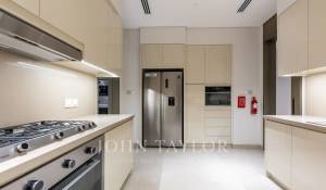 Rental Penthouse Downtown Dubai