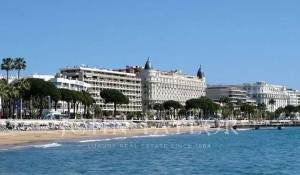 Rental Premises Cannes