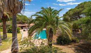 Rental Property Saint-Tropez