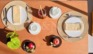 Charter Sailing Yacht 