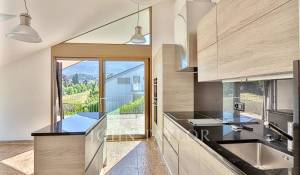 Rental Twin Villa Blonay-Saint-Légier