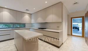 Rental Villa Dubai