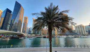 Rental Villa Dubai Marina