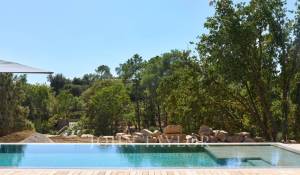 Rental Villa Roquefort-les-Pins