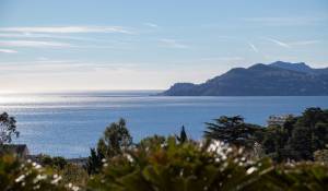 Sale Apartment Cannes