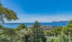 Sale Apartment Cannes