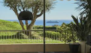 Sale Apartment Cannes