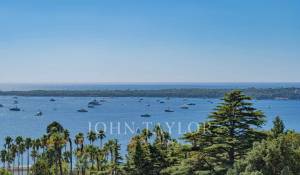 Sale Apartment Cannes
