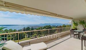 Sale Apartment Cannes
