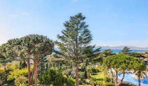 Sale Apartment Cannes