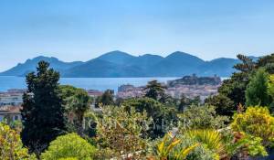 Sale Apartment Cannes