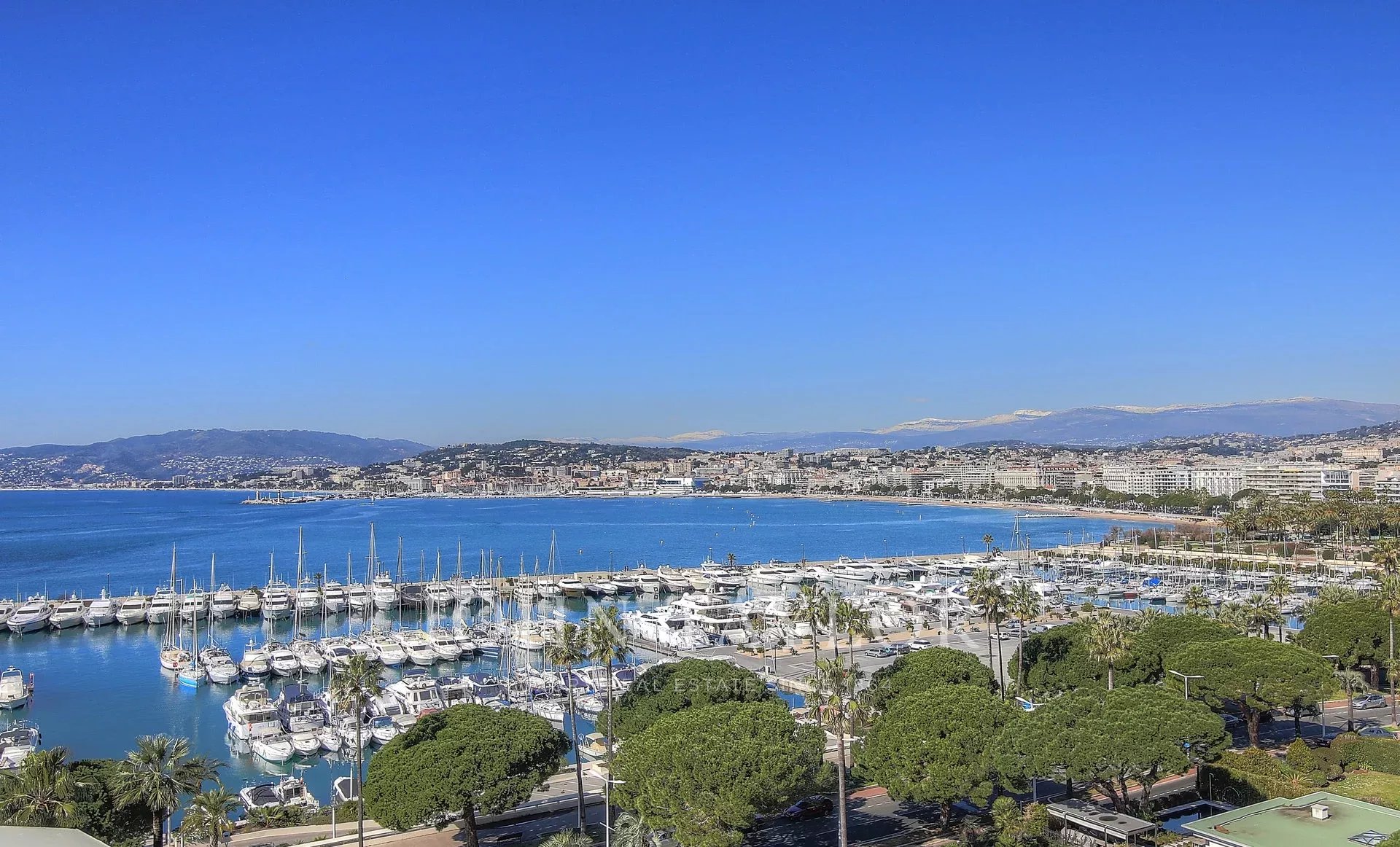 Ad Sale Apartment Cannes Croisette (06400), 6.0 Rooms refV5679CA