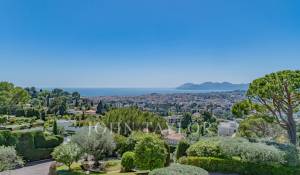 Sale Apartment Le Cannet