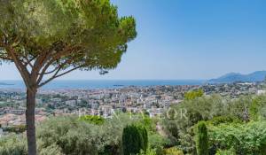 Sale Apartment Le Cannet