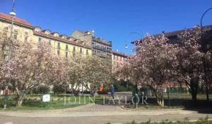 Sale Apartment Milano