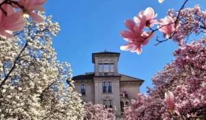 Sale Apartment Milano